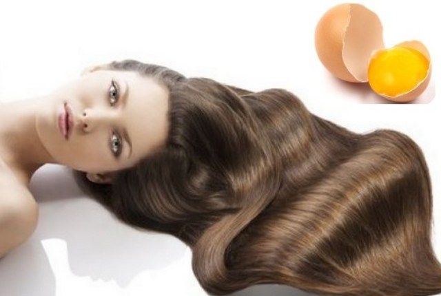 яйца для волос